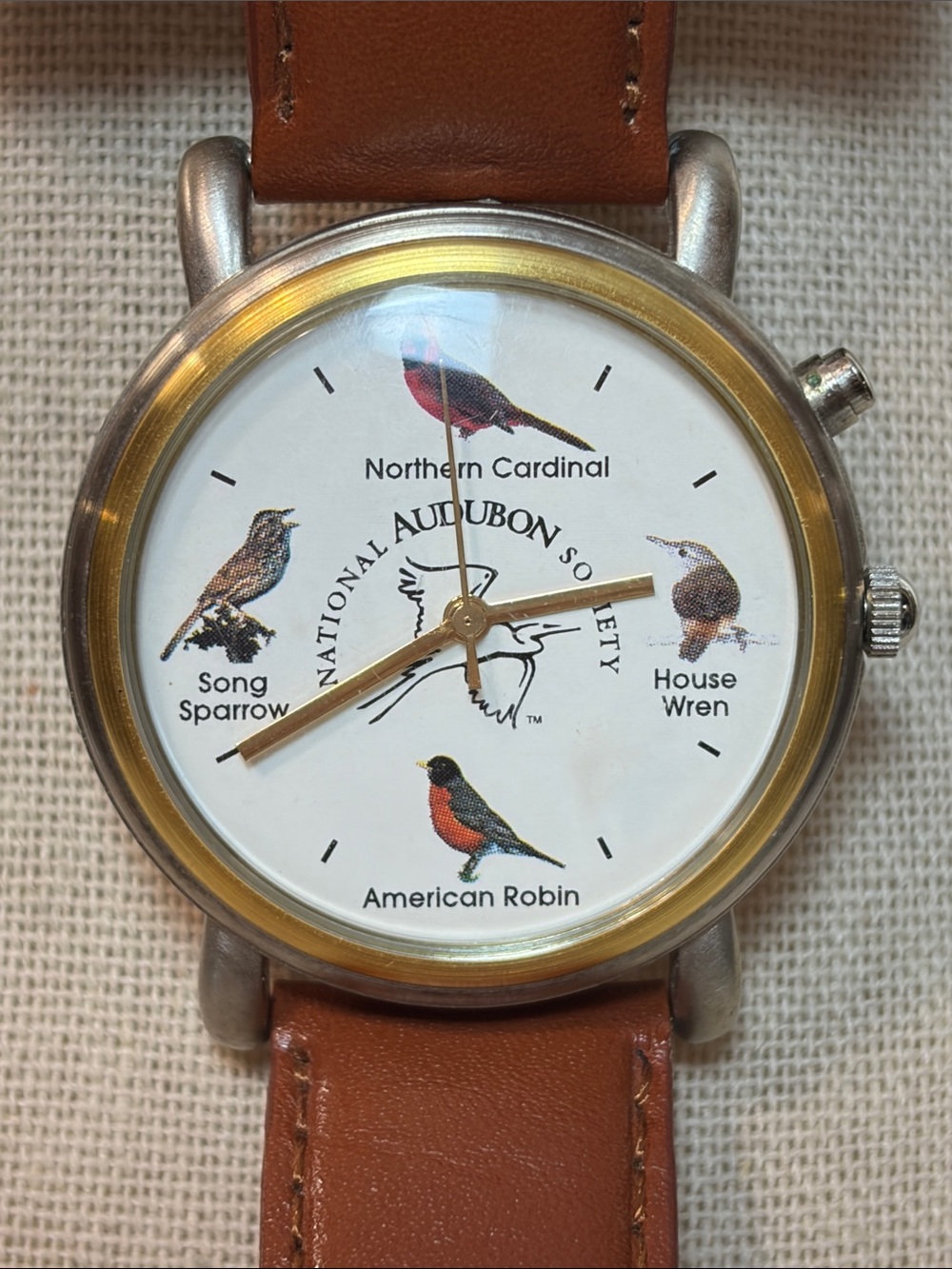 National Audibon Society So bird watch with brown classic leather strap